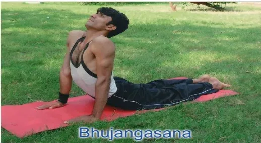 Bhujang