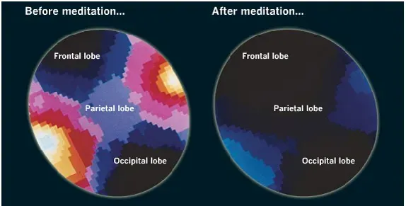 How does yoga affect your brain and memory