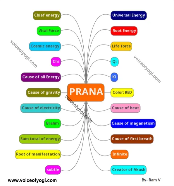 Prana tree