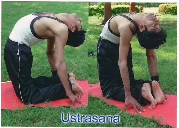 Ustra